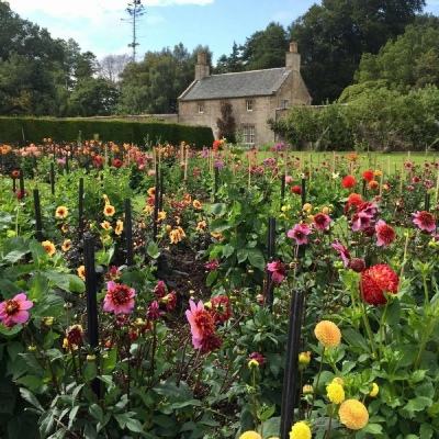 外围皇冠体育下载截图