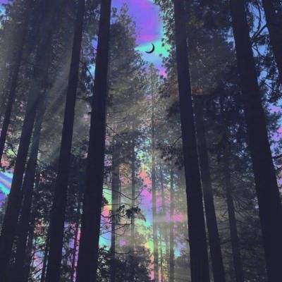 牛牛游戏网下载手机版