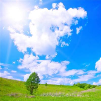 管家婆一码一肖资料下载手机版