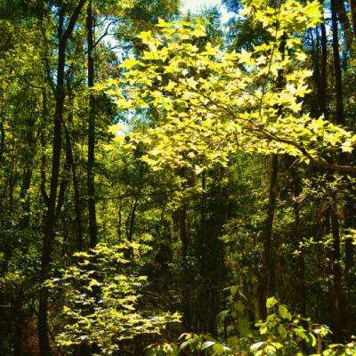 云开平台app最新版app下载