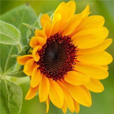 365best体育官网入口