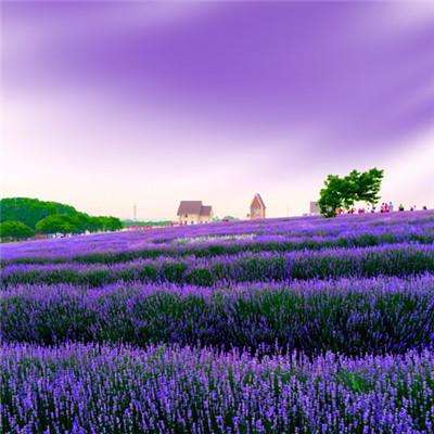 万博max手机登录版