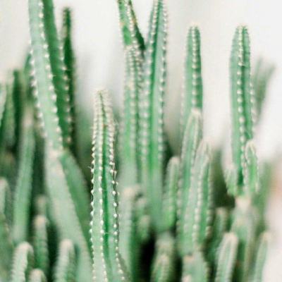 帝一娱乐手机app下载